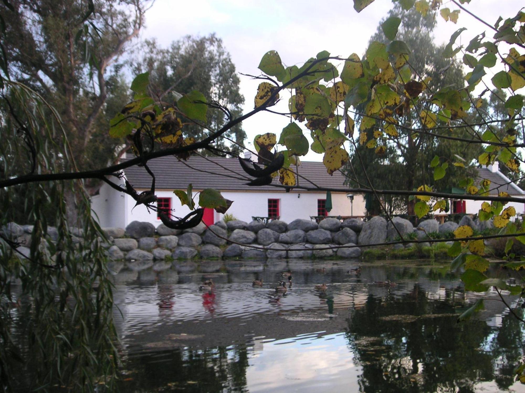Donegal House Hotel ไคคูรา ภายนอก รูปภาพ